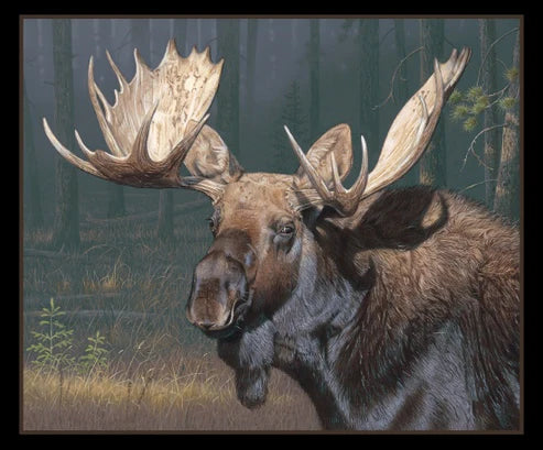 Too Close for Comfort 36 inch Panel - Black