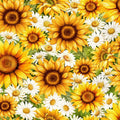 You Are My Sunshine - Packed Daisies - Sunflower