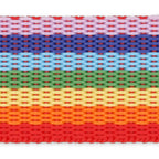 Dritz 1" Polypro Belting & Strapping, Rainbow, 60" Long